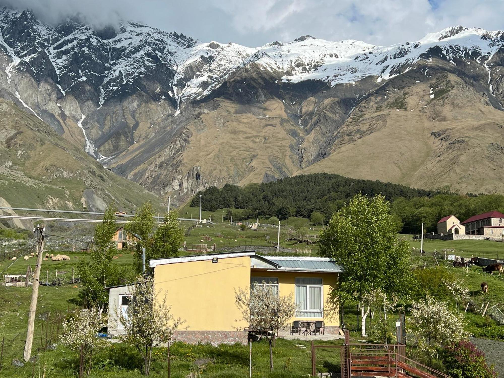 Mountain Kazbegi Apartment 外观 照片